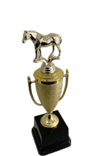 QUARTER HORSE TROPHY 300MM HIGH