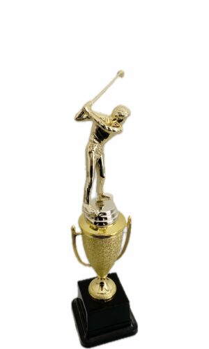 GOLFER MALE TROPHY 270MM HIGH