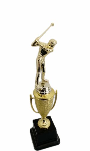 GOLFER MALE TROPHY 290MM HIGH