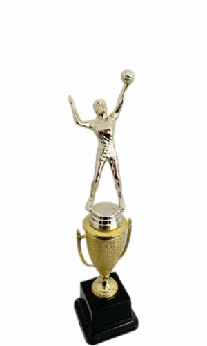 VOLLEYBALL MALE TROPHY 300MM HIGH