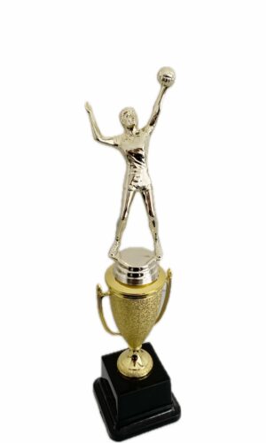 VOLLEYBALL MALE TROPHY 320MM HIGH