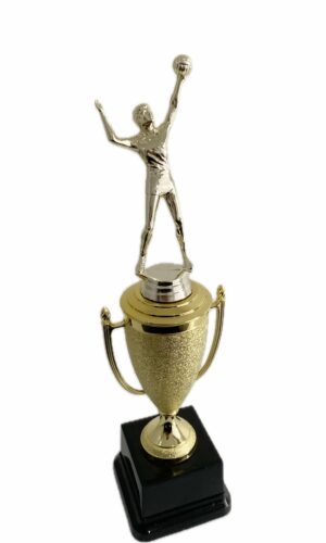 VOLLEYBALL MALE TROPHY 350MM HIGH