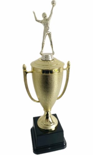 VOLLEYBALL MALE TROPHY 440MM HIGH