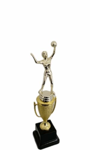 VOLLEYBALL FEMALE TROPHY 300MM HIGH