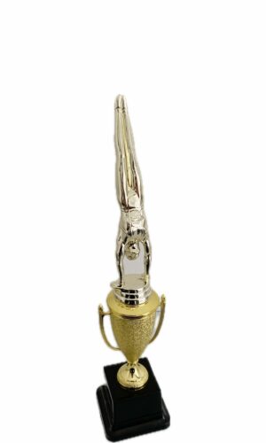 GYMNASTICS HANDSTAND MALE TROPHY 330MM HIGH