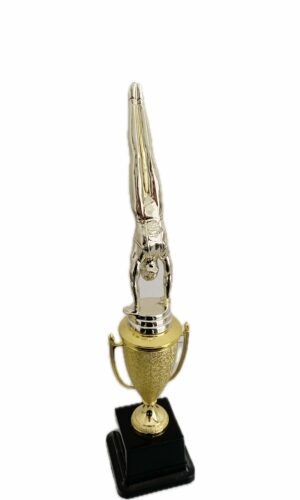 GYMNASTICS HANDSTAND MALE TROPHY 350MM HIGH