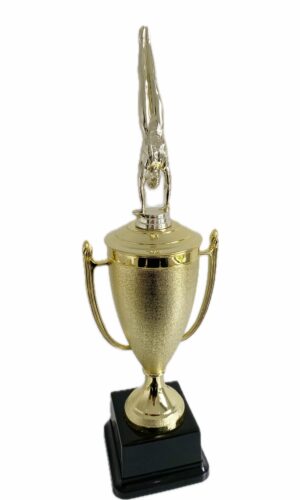 GYMNASTICS HANDSTAND MALE TROPHY 430MM HIGH