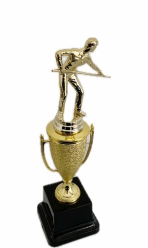 POOL TROPHY 270MM HIGH