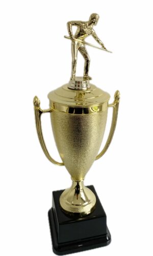 POOL TROPHY 350MM HIGH