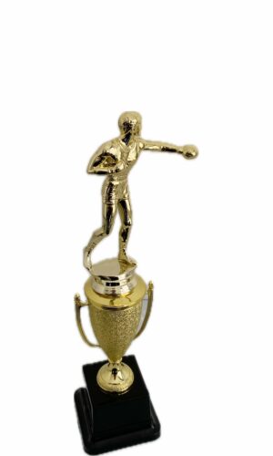 BOXING TROPHY 290MM HIGH