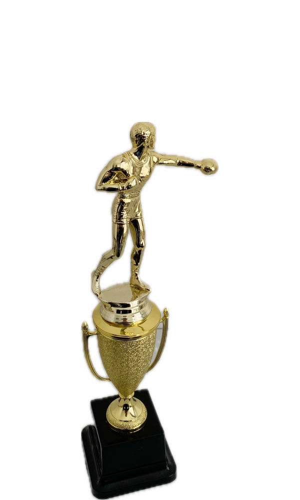 Boxing Trophies