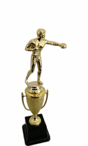 BOXING TROPHY 310MM HIGH