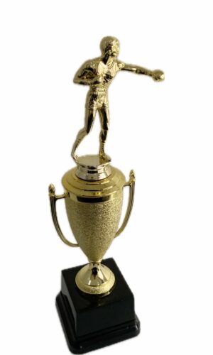 BOXING TROPHY 340MM HIGH