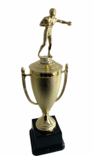 BOXING TROPHY 390MM HIGH