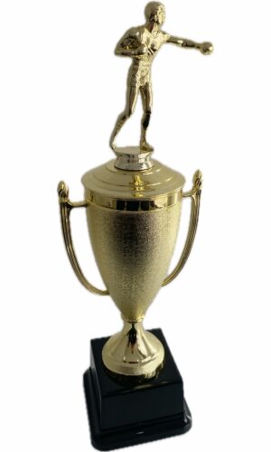 BOXING TROPHY 430MM HIGH
