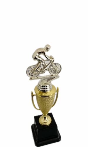 CYCLIST MALE TROPHY 250MM HIGH