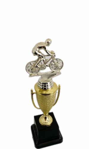 CYCLIST MALE TROPHY 270MM HIGH