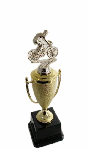 CYCLIST MALE TROPHY 300MM HIGH