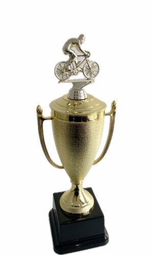 CYCLIST MALE TROPHY 350MM HIGH