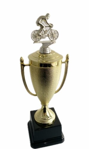 CYCLIST MALE TROPHY 390MM HIGH