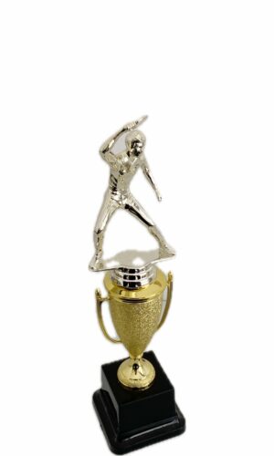 TABLE TENNIS MALE TROPHY 280MM HIGH