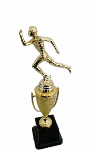 ATHLETICS MALE TROPHY 300MM HIGH