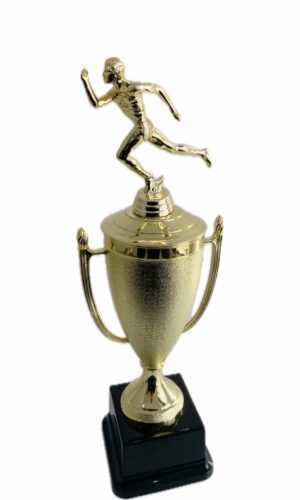 ATHLETICS MALE TROPHY 380MM HIGH