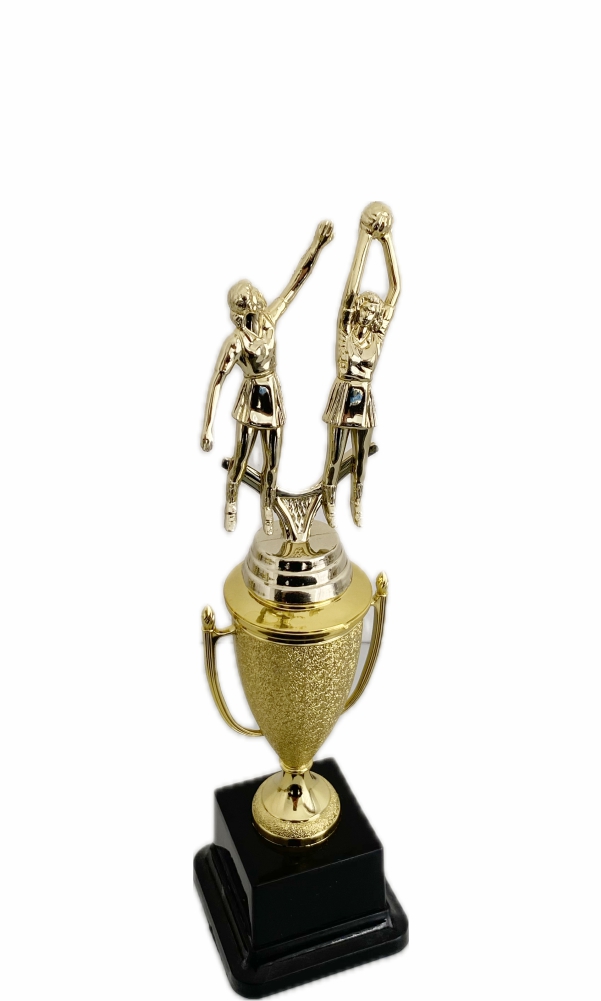 Netball Trophies