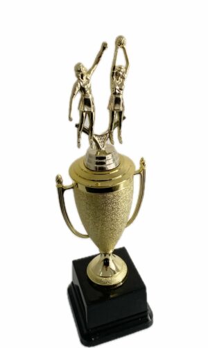 NETBALL TROPHY 310MM HIGH