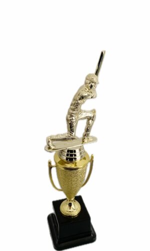 CRICKET BATSMAN TROPHY 280MM HIGH