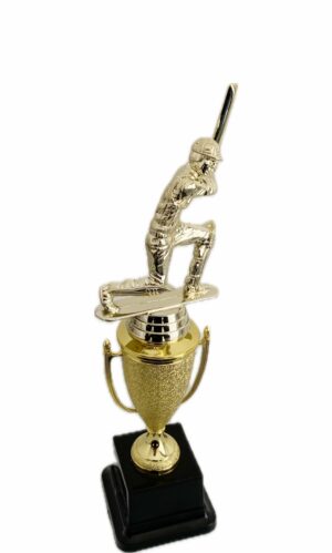 CRICKET BATSMAN TROPHY 300MM HIGH