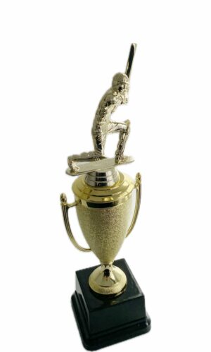 CRICKET BATSMAN TROPHY 330MM HIGH
