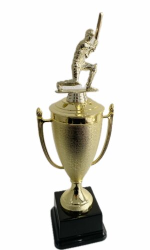 CRICKET BATSMAN TROPHY 380MM HIGH