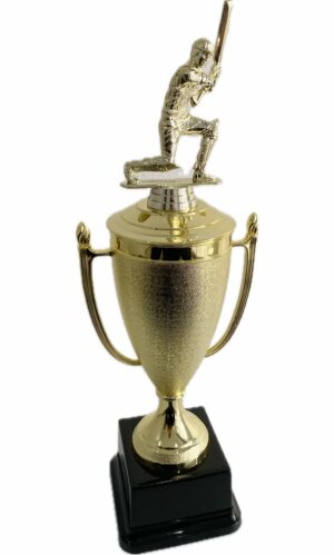 CRICKET BATSMAN TROPHY 420MM HIGH