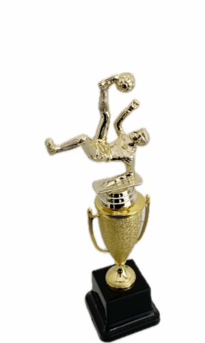 SOCCER BICYLE KICK TROPHY 290MM HIGH
