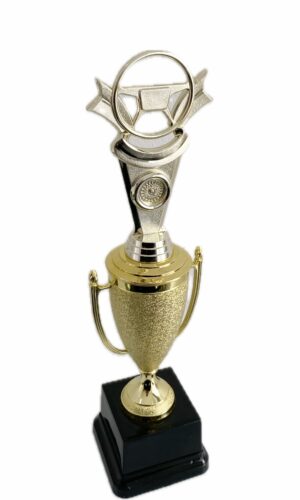 SAFE DRIVER TROPHY 350MM HIGH