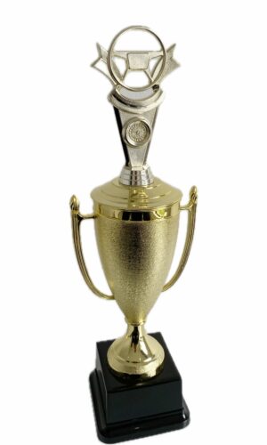 SAFE DRIVER TROPHY 400MM HIGH