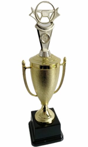 SAFE DRIVER TROPHY 440MM HIGH