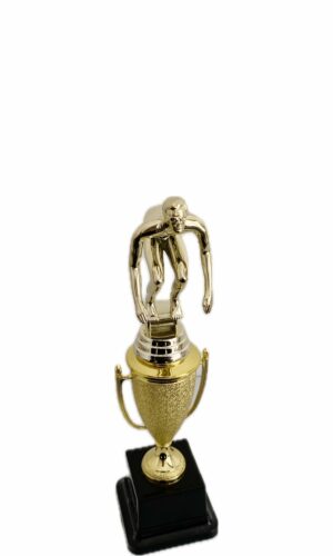 SWIMMER MALE TROPHY 270MM HIGH