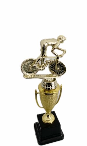 MOUNTAIN BIKE TROPHY 300MM HIGH