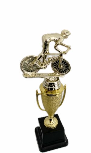MOUNTAIN BIKE TROPHY 320MM HIGH