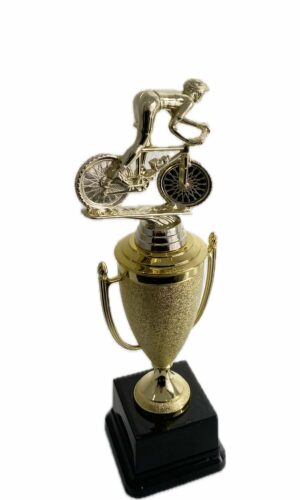 MOUNTAIN BIKE TROPHY 350MM HIGH