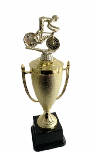 MOUNTAIN BIKE TROPHY 400MM HIGH