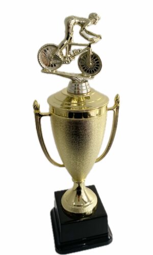 MOUNTAIN BIKE TROPHY 440MM HIGH