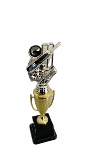 CRICKET THEME TROPHY 270MM HIGH