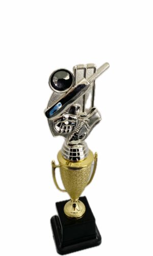 CRICKET THEME TROPHY 290MM HIGH