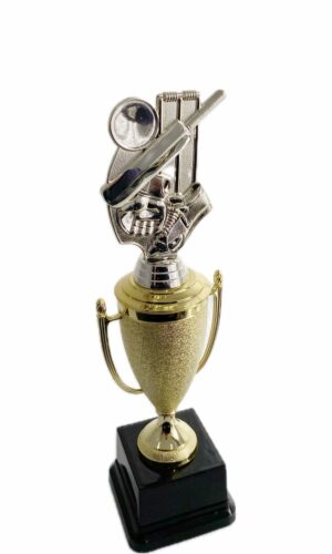 CRICKET THEME TROPHY 320MM HIGH