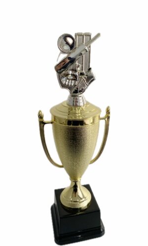 CRICKET THEME TROPHY 370MM HIGH