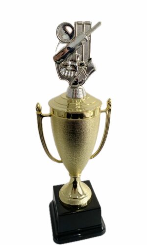 CRICKET THEME TROPHY 410MM HIGH