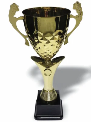 Primrose Metal and Plastic Cup 460mm Trophy Guy www.trophyguy.co.za Primrose Metal and Plastic Cup 460mm